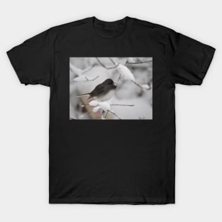 Dark eyed Junco T-Shirt